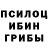 Галлюциногенные грибы мухоморы Jenny Nadiahan