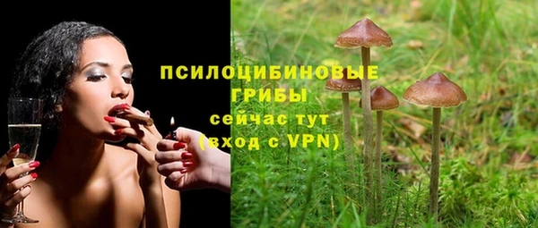 ПСИЛОЦИБИНОВЫЕ ГРИБЫ Арсеньев