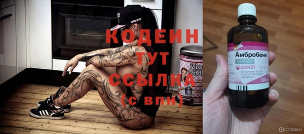 ПСИЛОЦИБИНОВЫЕ ГРИБЫ Арсеньев