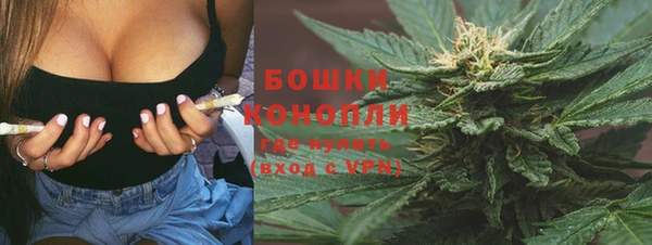 ПСИЛОЦИБИНОВЫЕ ГРИБЫ Арсеньев