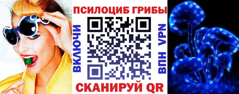 Галлюциногенные грибы Psilocybine cubensis Белозерск